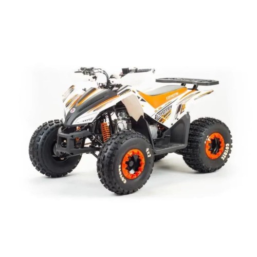 Квадроцикл MOTOLAND 125 Coyote (2021 Г.)