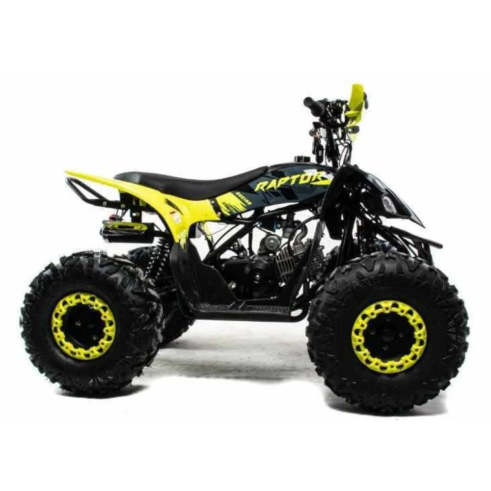 Квадроцикл MOTOLAND 125 RAPTOR