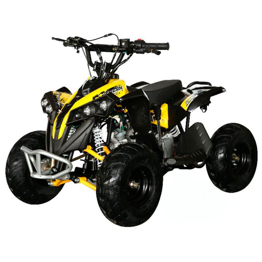 Электроквадроцикл MOTAX ATV CAT 1000W
