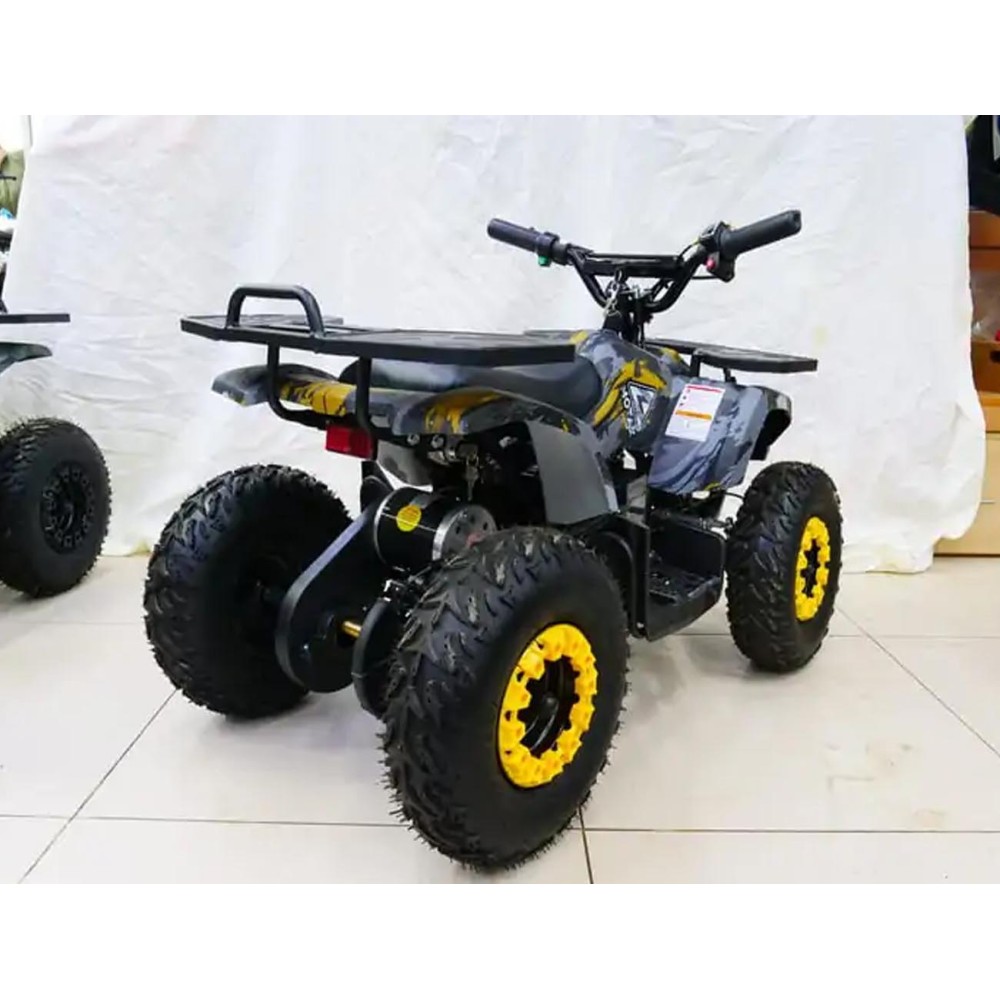 Электроквадроцикл MOTAX Grizlik X16 New E1000