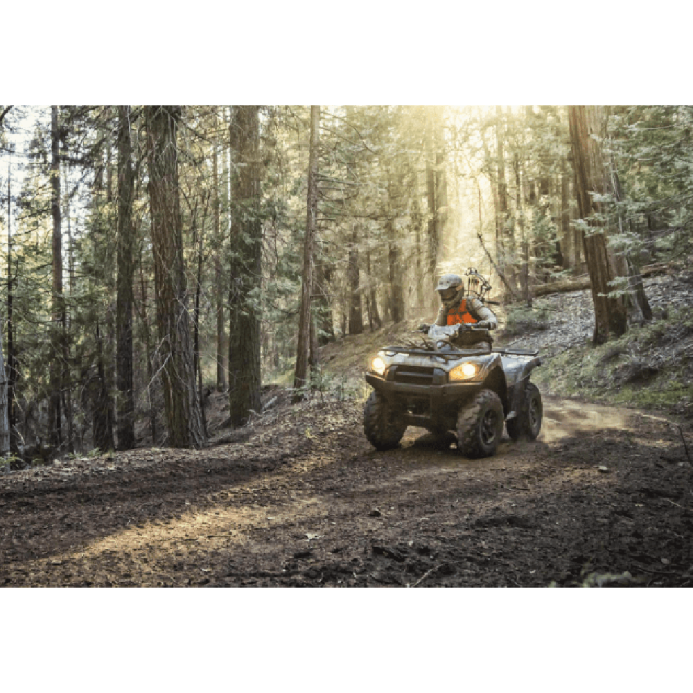 Квадроцикл BRUTE FORCE 750 4X4I EPS CAMO (ПСМ)