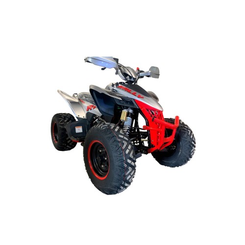 Квадроцикл MOTOLAND RALLY 250