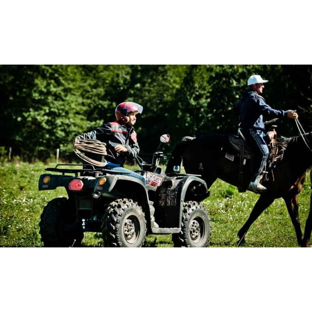 Квадроцикл BALTMOTORS Striker 700 EFI (ПСМ)