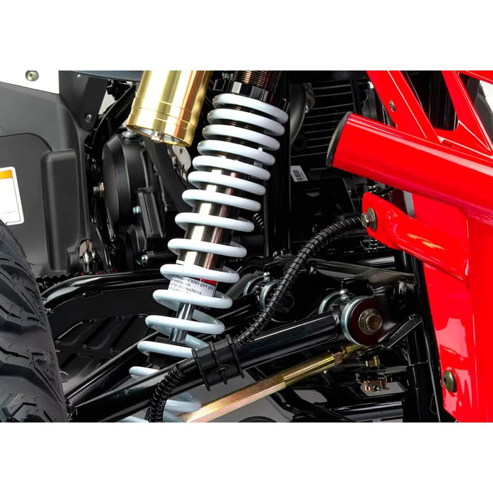 Квадроцикл MOTOLAND RALLY 250