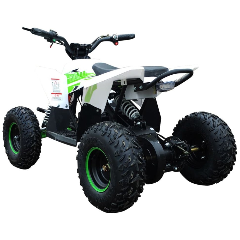 Электроквадроцикл MOTAX GEKKON 1300W