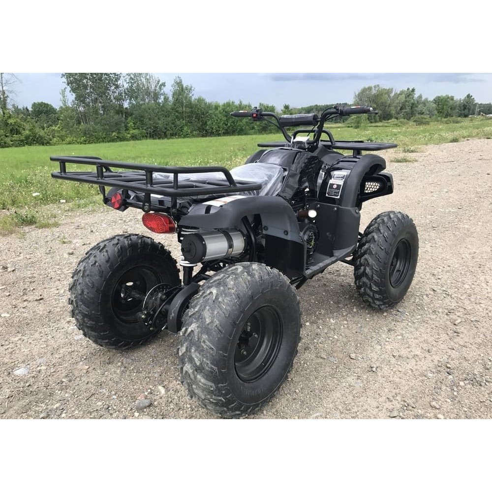 Квадроцикл HAMMER Hunter 300