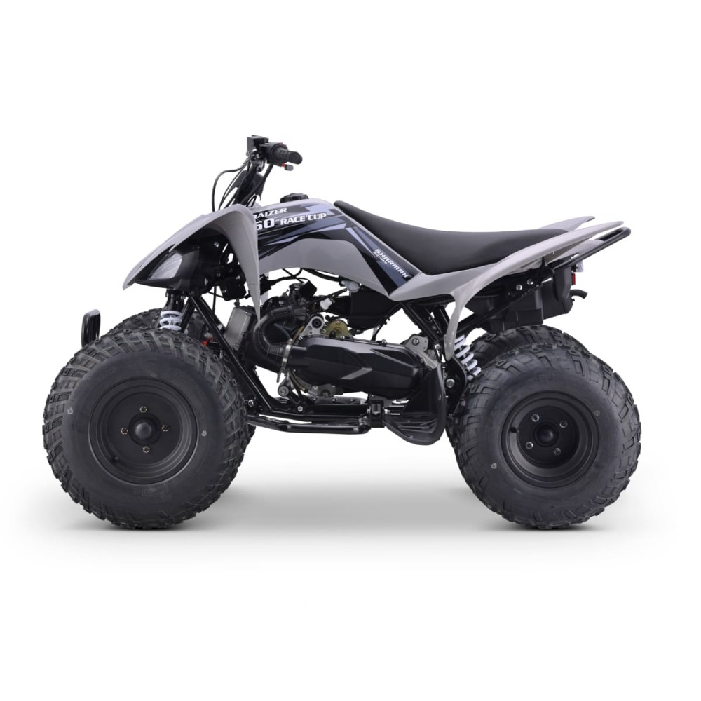 Квадроцикл SHARMAX Raizer Race Cup 250