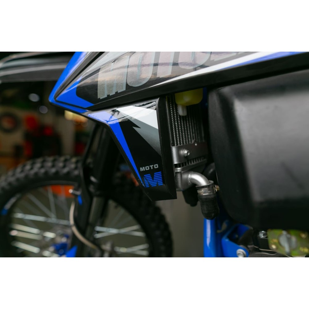 Мотоцикл кроссовый эндуро MOTOLAND FX300 (174MN-3)