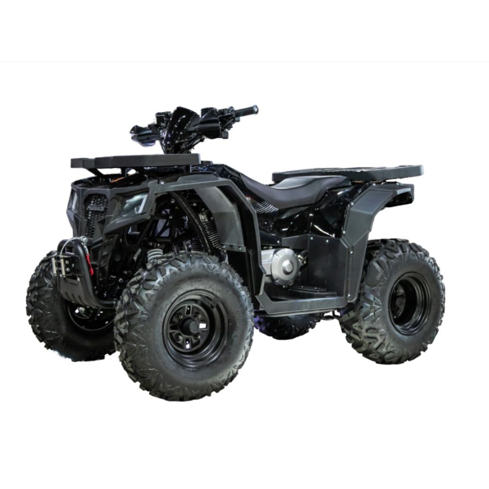 Квадроцикл PROGASI Race Jumper 200 Max Power