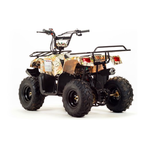 Квадроцикл MOTOLAND 110 Rider (2021 Г.)