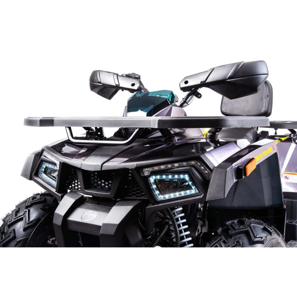 Квадроцикл MOTOLAND 200 Wild Track X Pro (2022)