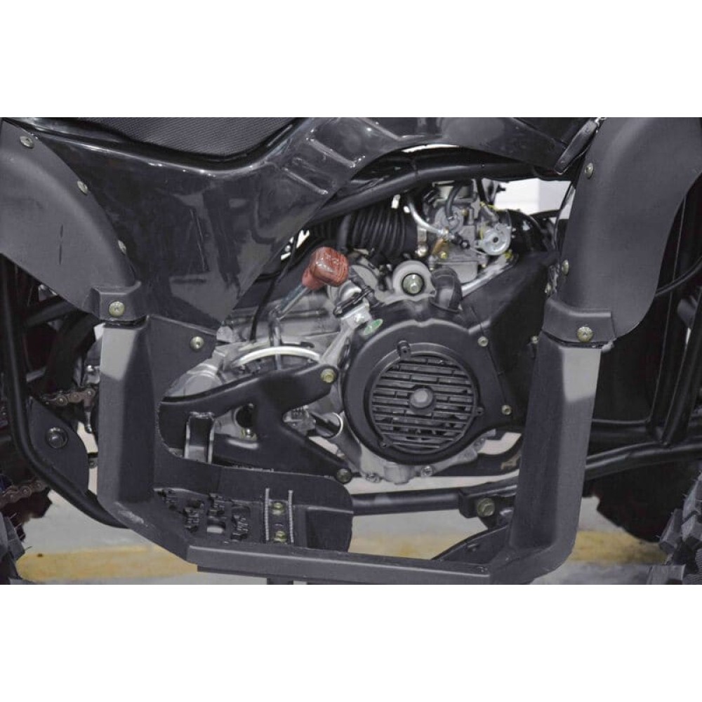 Квадроцикл GRIZZLY 200