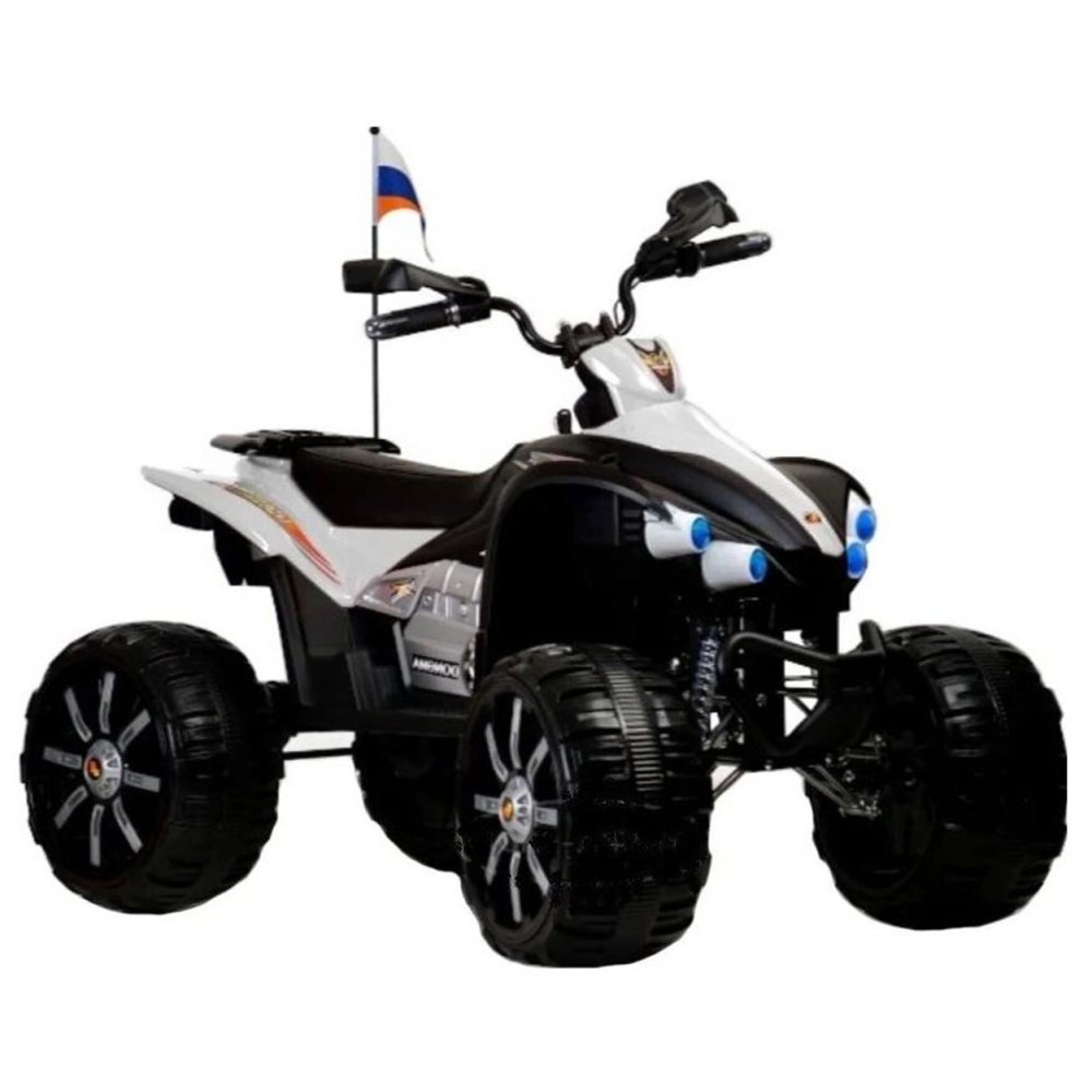 Электроквадроцикл RIVERTOYS P444PP