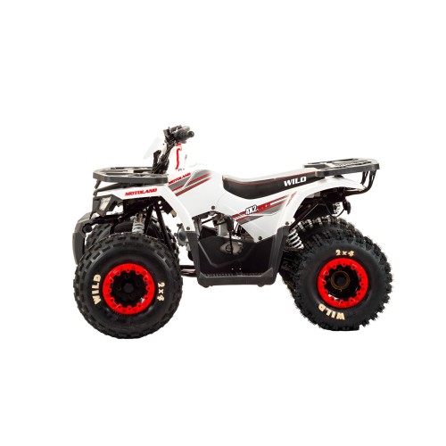 Квадроцикл MOTOLAND 125 Wild