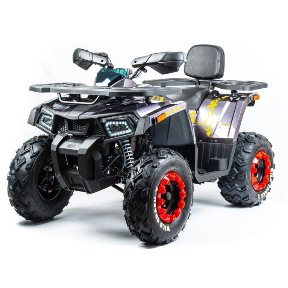 Квадроцикл MOTOLAND 200 Wild Track X Pro (2022)