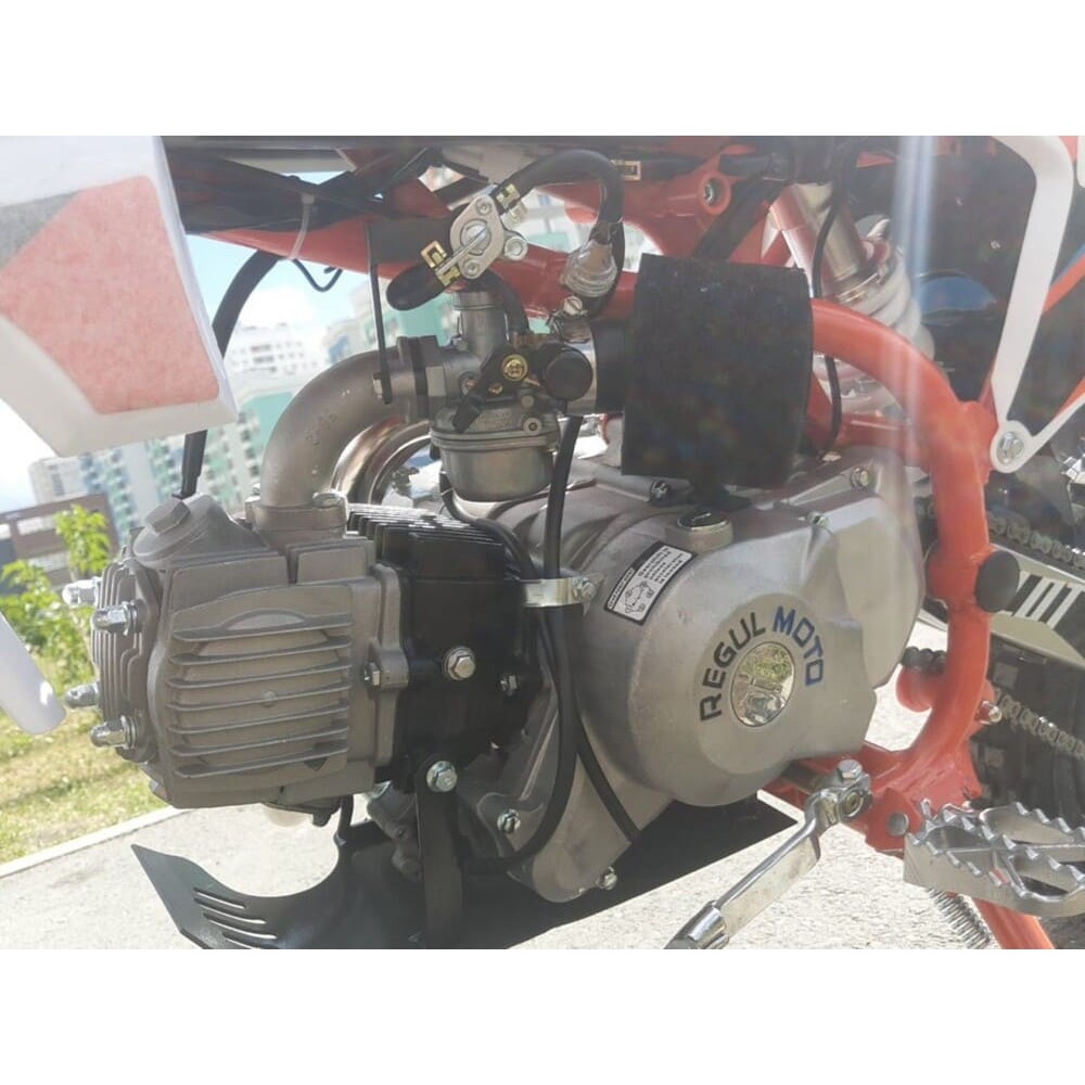 Мотоцикл REGULMOTO Pilot 110EA 12/10 PITBIKE