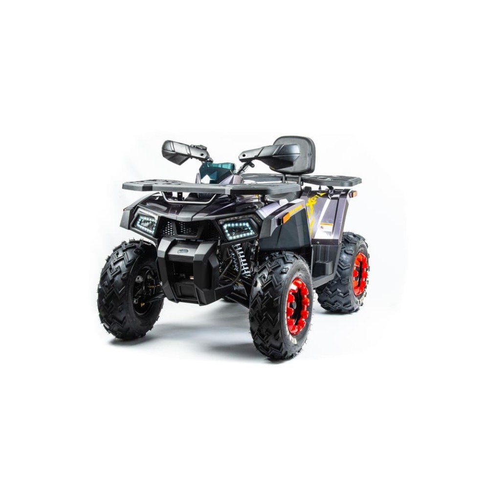 Квадроцикл MOTOLAND 200 Wild Track X Pro (2022)