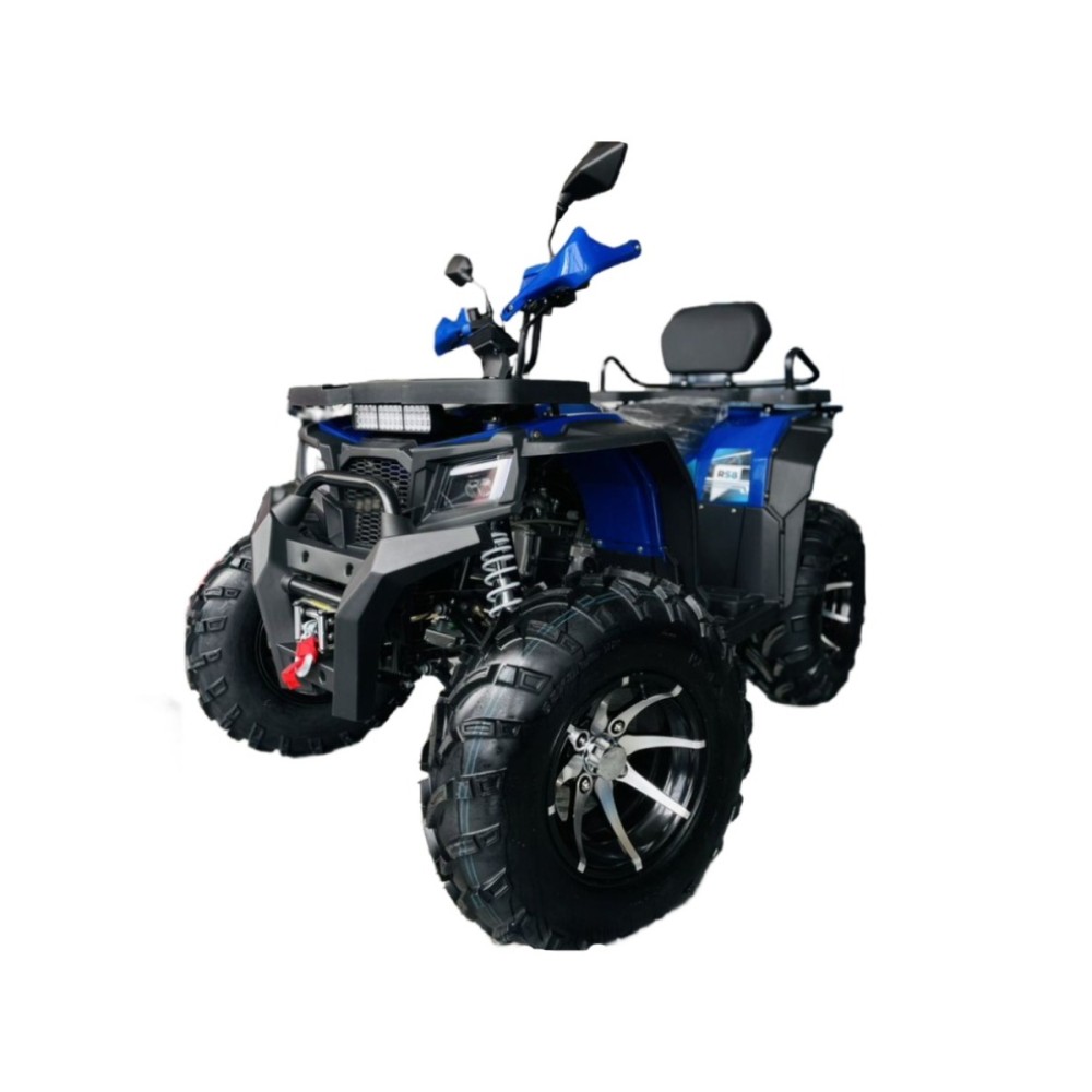 Квадроцикл MOTOLAND 300 Wild Track LUX