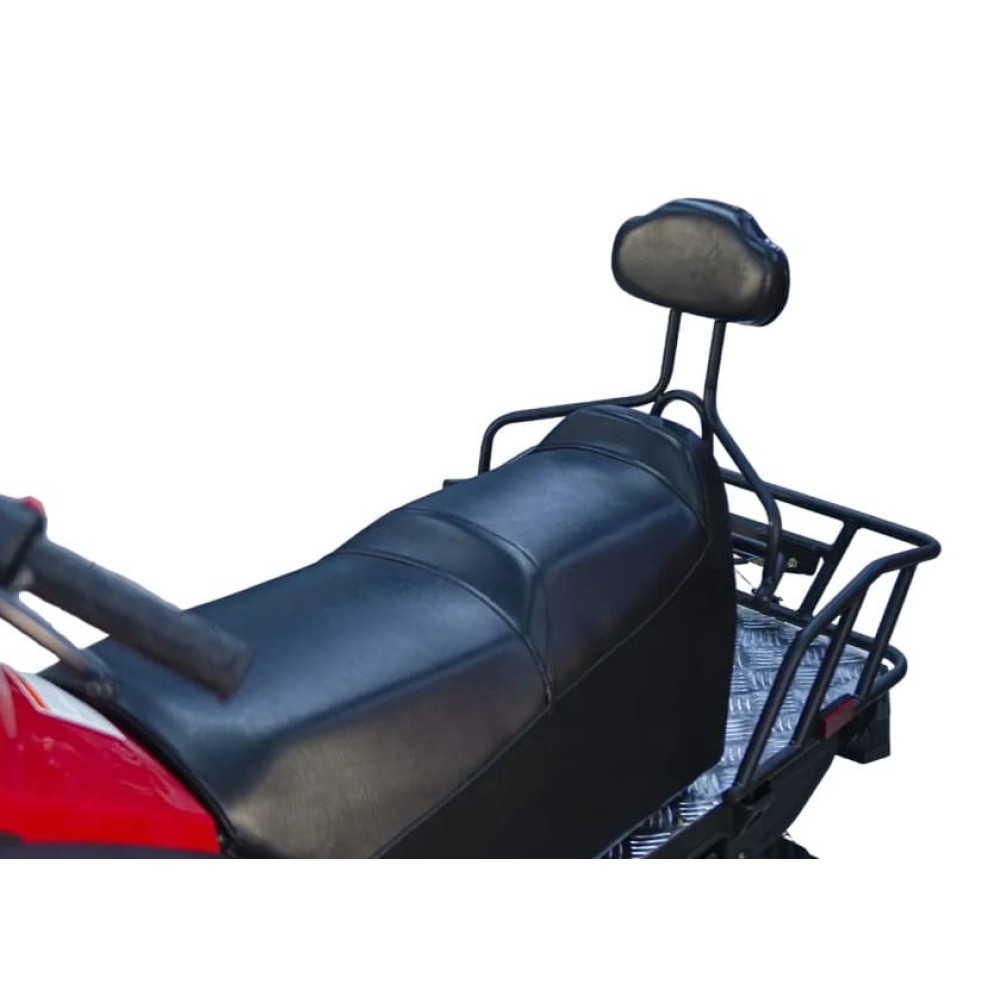 Снегоход ATAKI WD 250