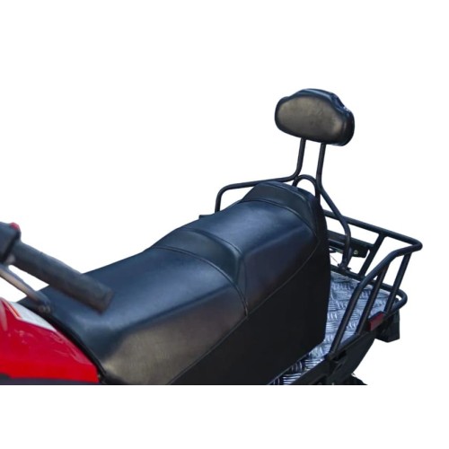 Снегоход ATAKI WD 250