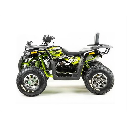 Квадроцикл MOTOLAND 200 Wild Track Pro