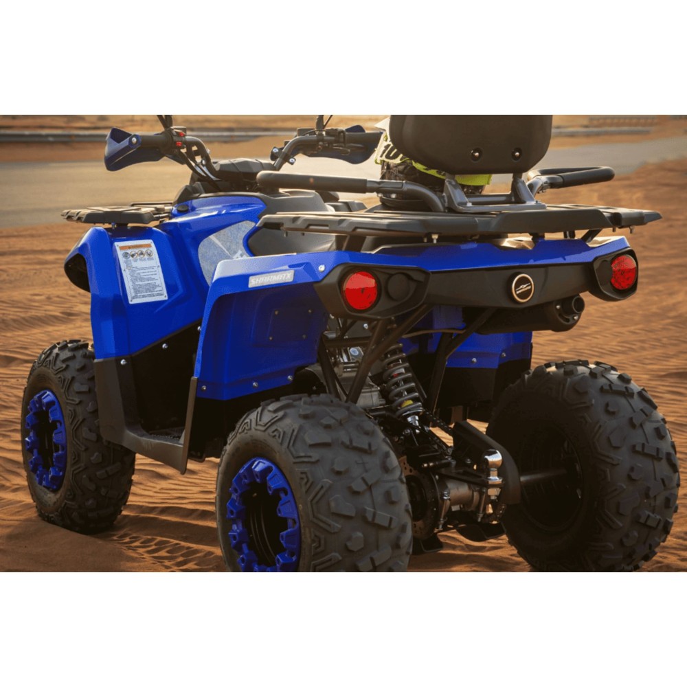 Квадроцикл SHARMAX Hummer 320 RX