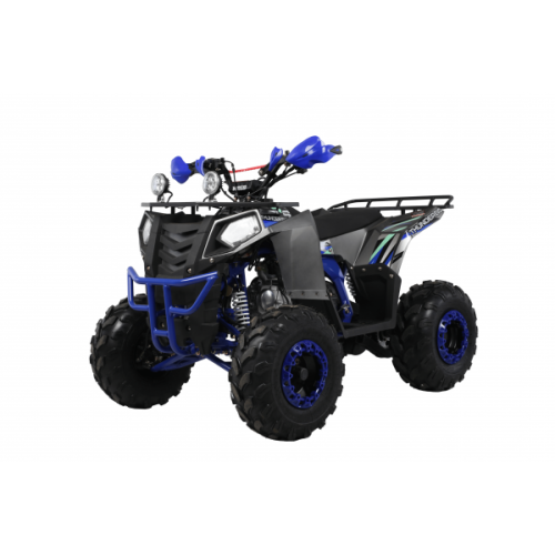 Квадроцикл WELS Thunder EVO X ST
