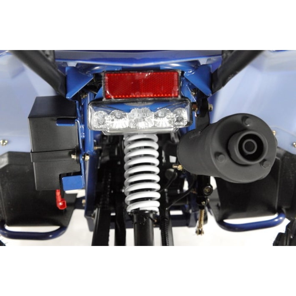 Квадроцикл WELS Thunder EVO