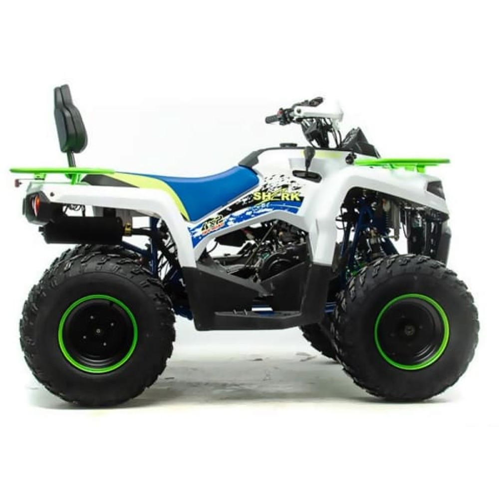 Квадроцикл MOTOLAND 200 Shark (2021 Г.)