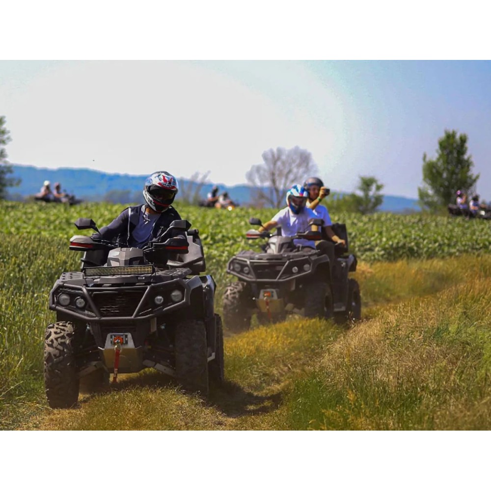 Квадроцикл AODES PathCross 800L Pro EPS (ПСМ)