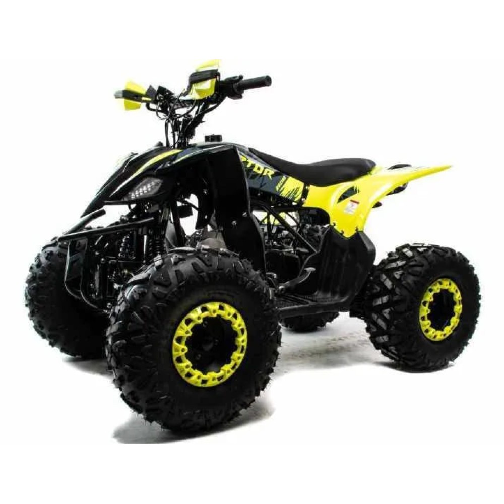 Квадроцикл MOTOLAND 125 RAPTOR