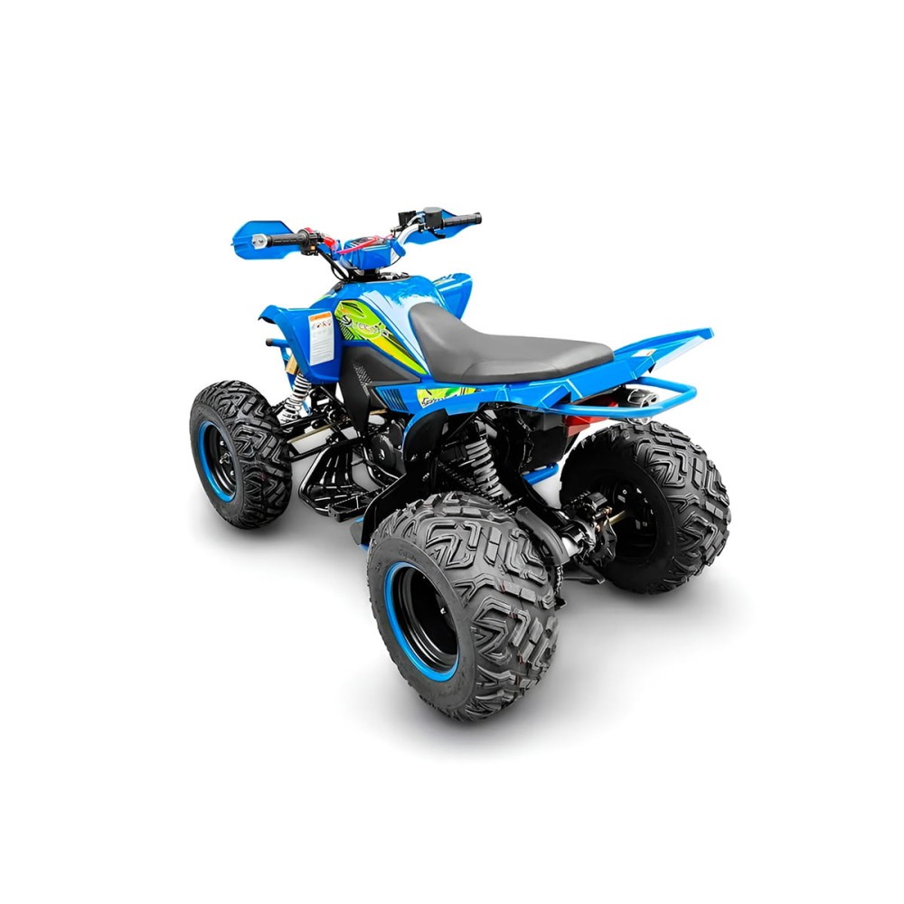 Квадроцикл RACER Typhoon 250