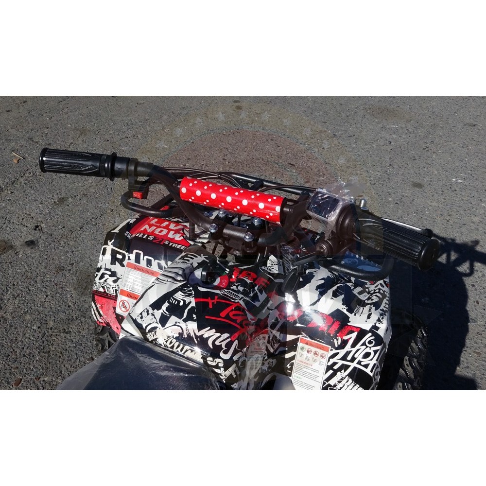 Электроквадроцикл RATCHET 800