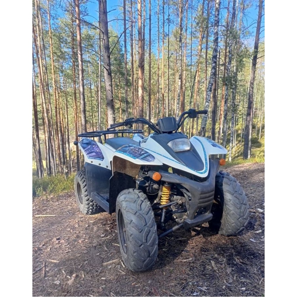 Квадроцикл BALTMOTORS Jam 100 Б/У