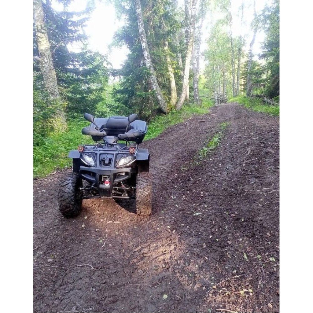 Квадроцикл GRIZZLY 250 Б/У