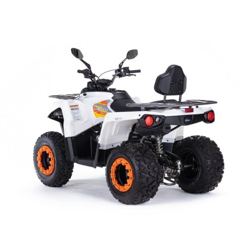 Квадроцикл MOTAX ATV Grizlik 200 Ultra