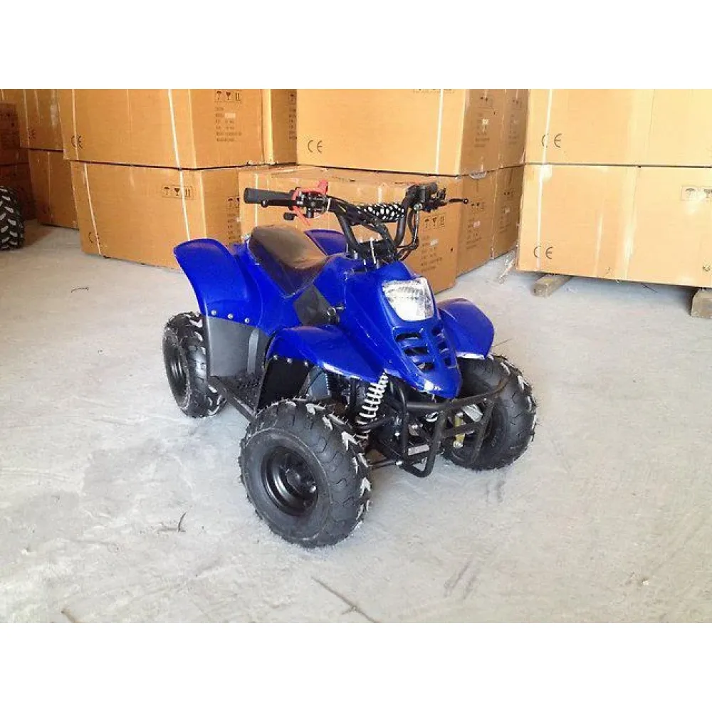 Квадроцикл RAPTOR 110