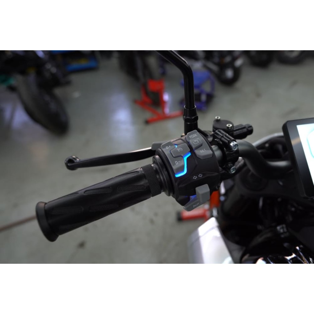 Электромотоцикл SENKE SK8000D