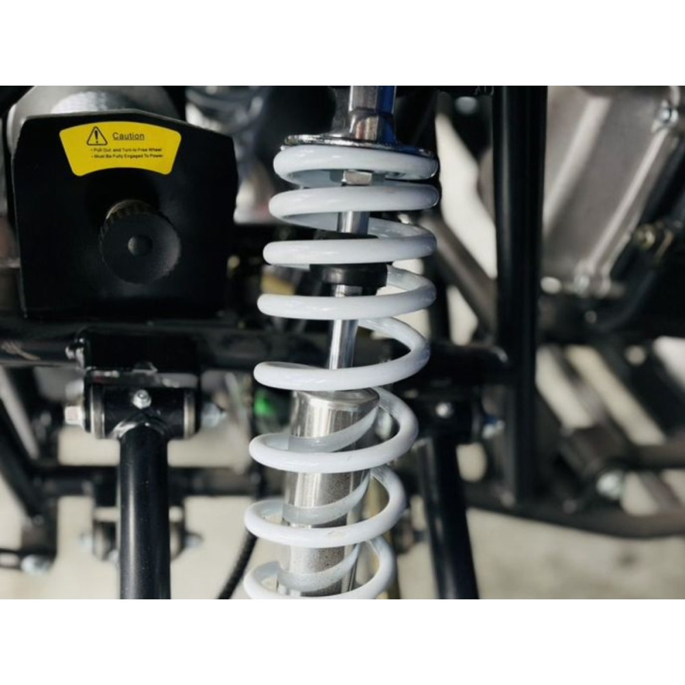 Квадроцикл MOTOLAND 300 Wild Track LUX