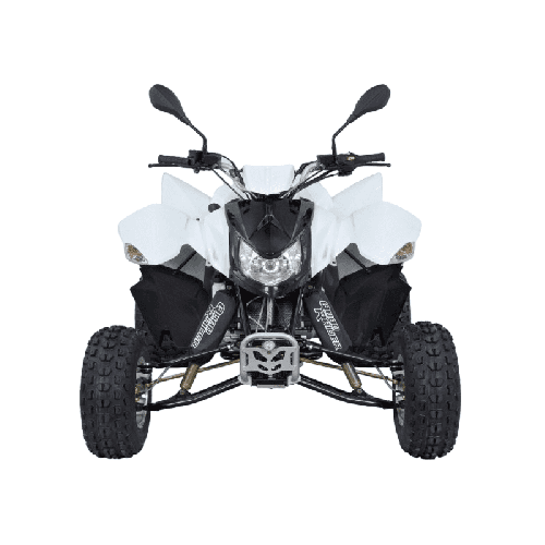 Квадроцикл SYM QuadRaider 300 SD
