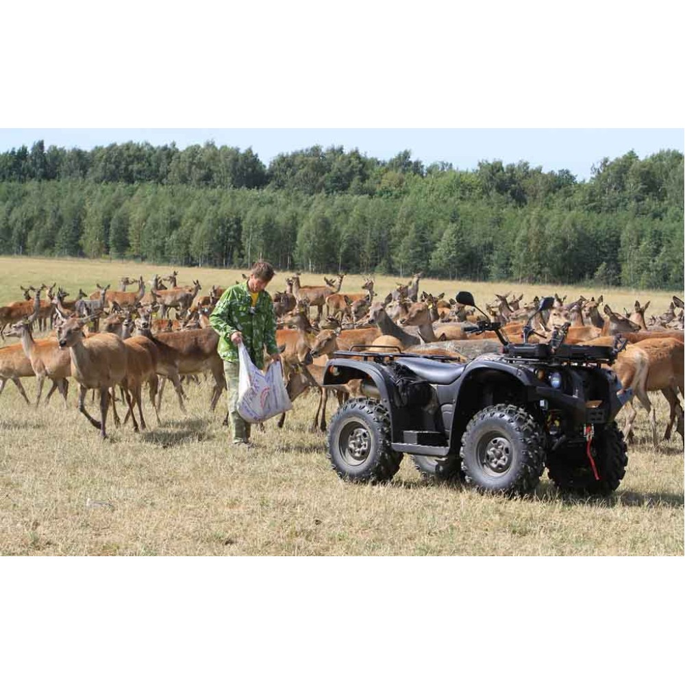 Квадроцикл BALTMOTORS Striker 700 EFI (ПСМ)