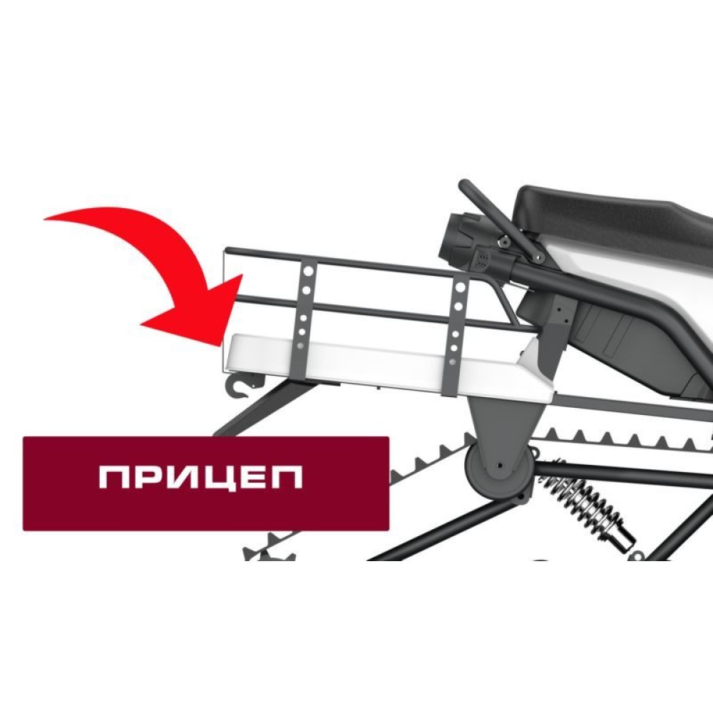 Снегоход WELS 200RS