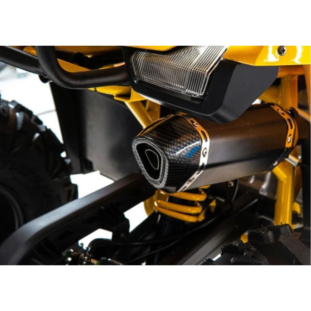 Квадроцикл MOTOLAND 125 Wild (2021 Г.)