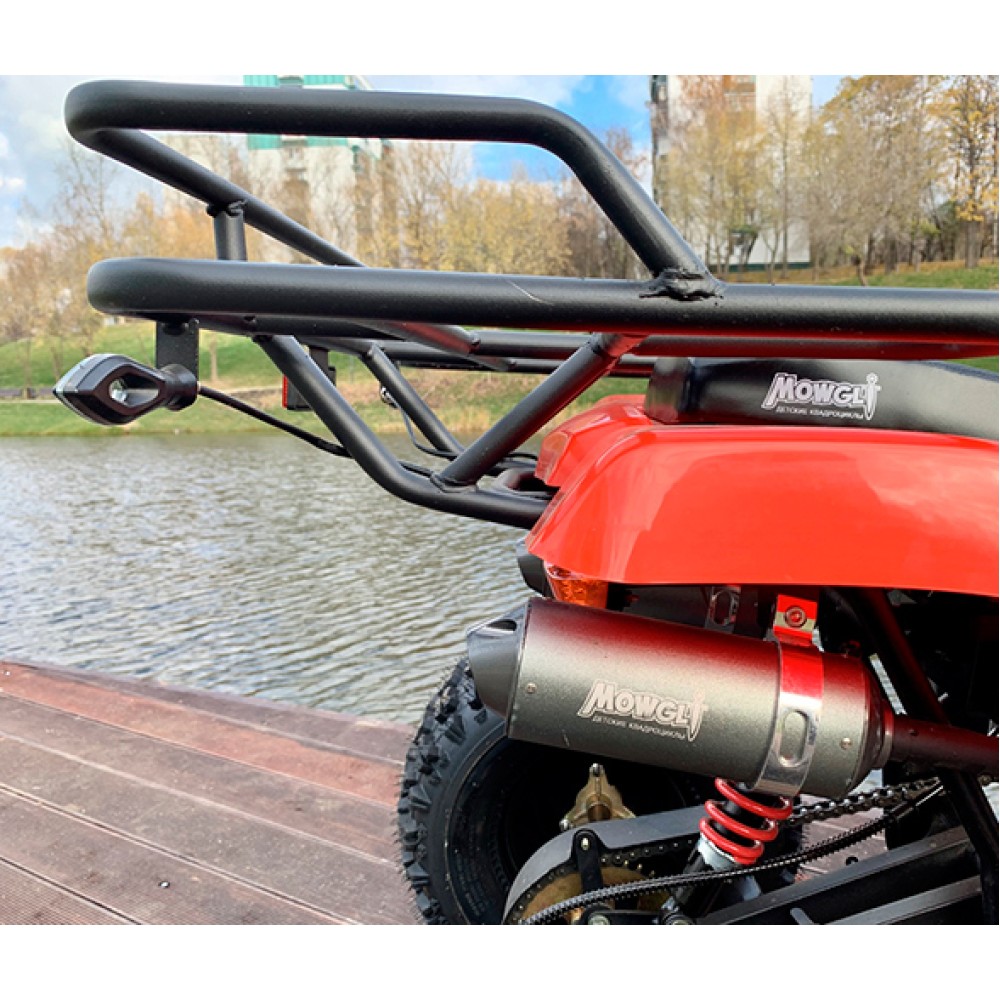 Квадроцикл MOWGLI Bold 8+