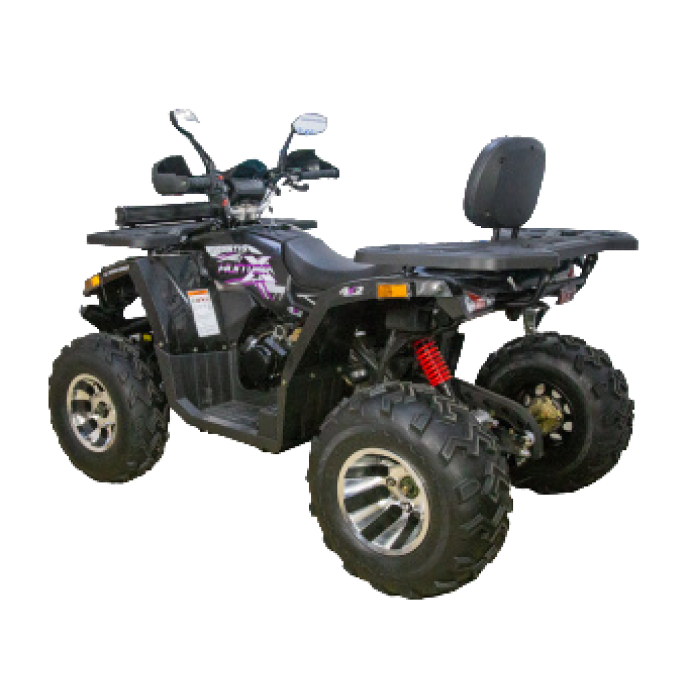 Квадроцикл AVANTIS Hunter 200 BIG Premium (Баланс. вал)