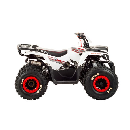 Квадроцикл MOTOLAND 125 Wild