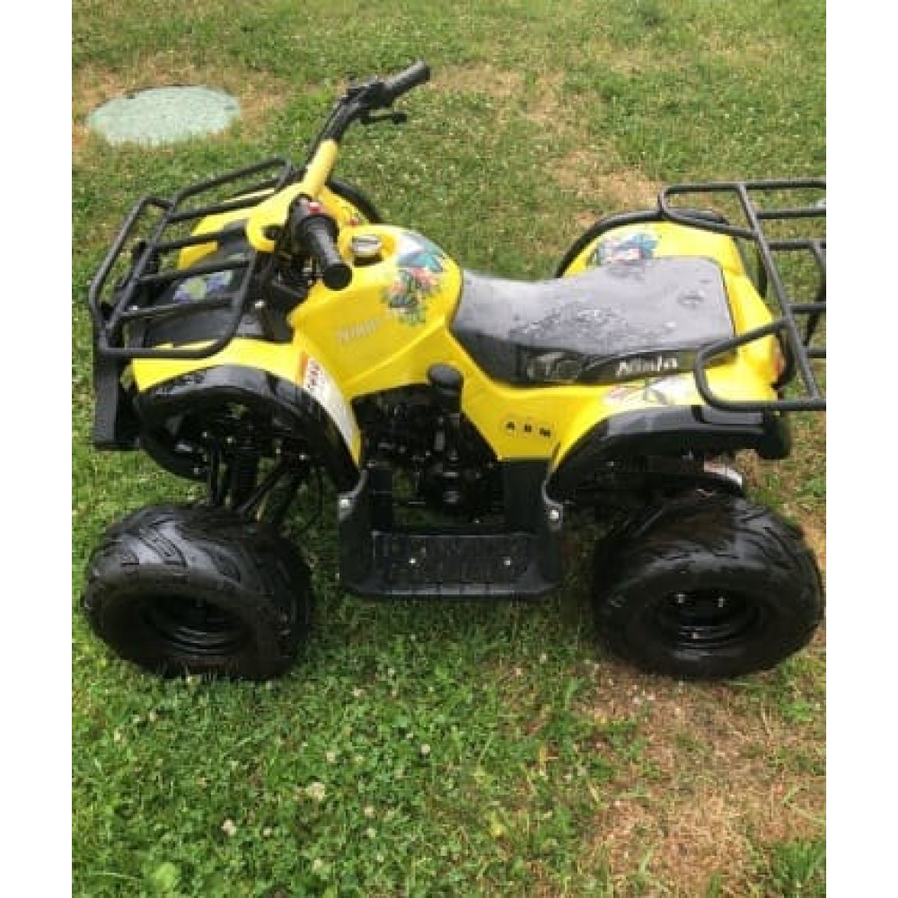 Квадроцикл ABM Ninja 110
