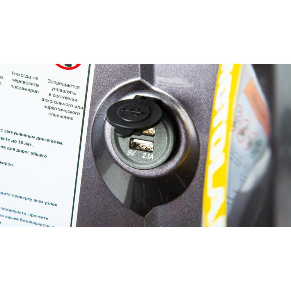 Квадроцикл MOTOLAND 200 Wild Track X Pro (2022)