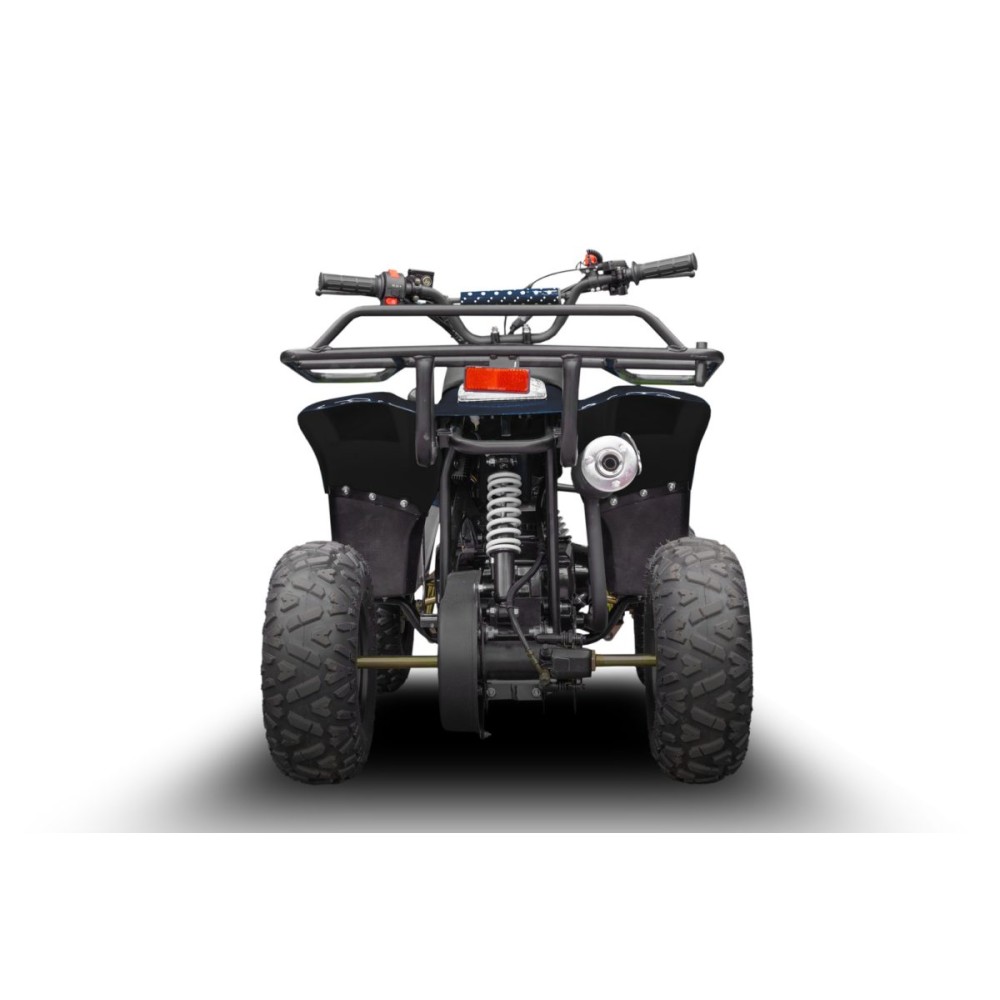 Квадроцикл RAPTOR 150 Universal