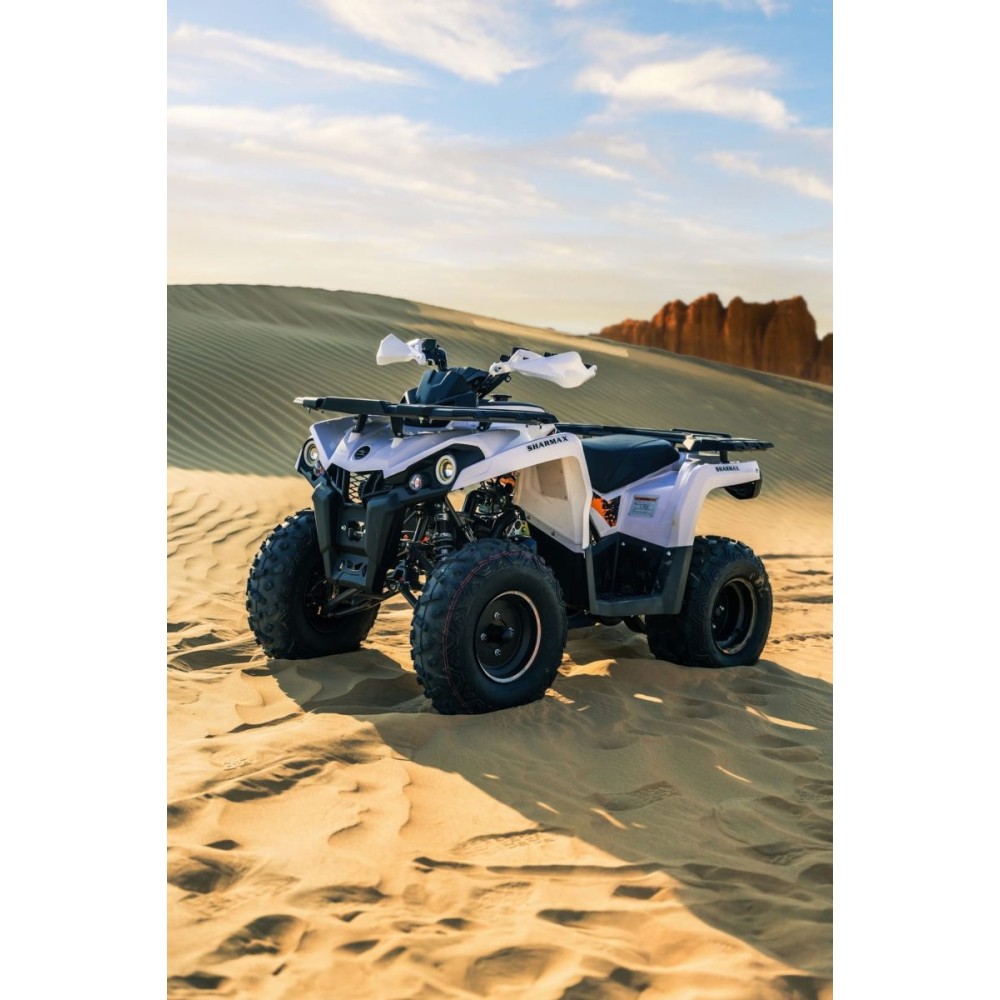 Квадроцикл SHARMAX Hummer 300